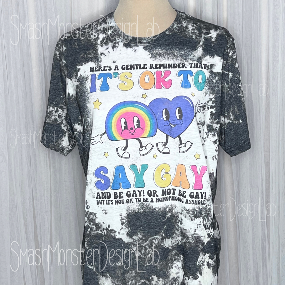 Its Okay to Say Gay